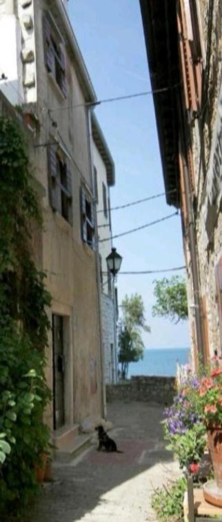 Apartment Giulio - 10Mt To The Beach ロヴィニ エクステリア 写真
